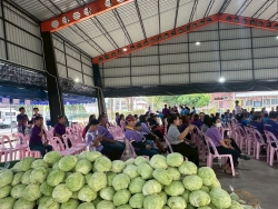 LINE_ALBUM_20269 อนุรักษ์พันธุกรรมพืช_260220_122.jpg - เทศบาลตำบลสันป่าตองได้ดำเนินการจัด โครงการอนุรักษ์พันธุกรรมพืชอันเนื่องมาจากพระราชดำริ สมเด็จพระกนิษฐาธิราชเจ้า กรมสมเด็จพระเทพรัตนราชสุดาฯ สยามบรมราชกุมารี | https://www.sanpatong.go.th